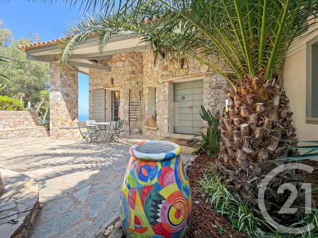 maison à vendre - 8 pièces - 239.0 m2 - MONTICELLO - 202 - CORSE - Century 21 Dary Immobilier