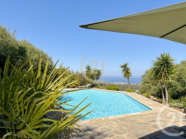 maison à vendre - 8 pièces - 239.0 m2 - MONTICELLO - 202 - CORSE - Century 21 Dary Immobilier