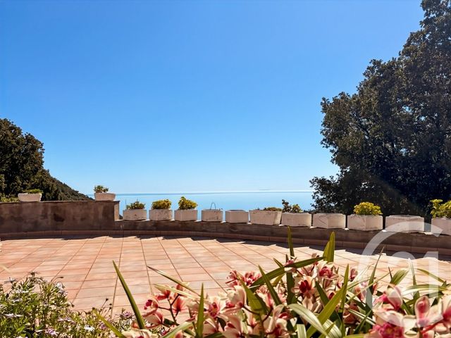 maison à vendre - 12 pièces - 487.0 m2 - SAN MARTINO DI LOTA - 202 - CORSE - Century 21 Dary Immobilier