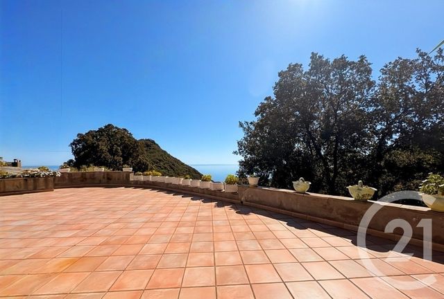 maison à vendre - 12 pièces - 487.0 m2 - SAN MARTINO DI LOTA - 202 - CORSE - Century 21 Dary Immobilier