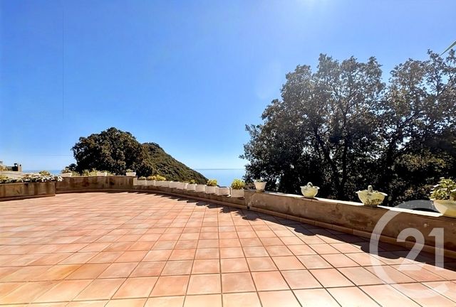 maison à vendre - 12 pièces - 487.0 m2 - SAN MARTINO DI LOTA - 202 - CORSE - Century 21 Dary Immobilier