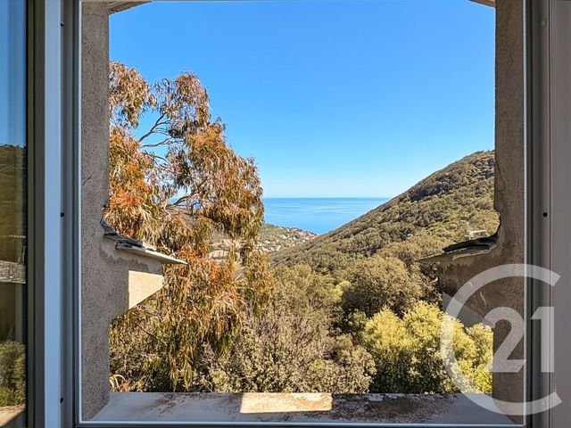 maison à vendre - 12 pièces - 487.0 m2 - SAN MARTINO DI LOTA - 202 - CORSE - Century 21 Dary Immobilier