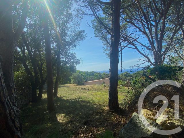 terrain à vendre - 1978.0 m2 - CORBARA - 202 - CORSE - Century 21 Dary Immobilier