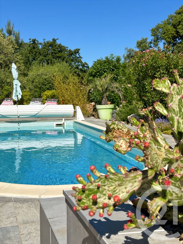 maison à vendre - 7 pièces - 145.84 m2 - CALENZANA - 202 - CORSE - Century 21 Dary Immobilier