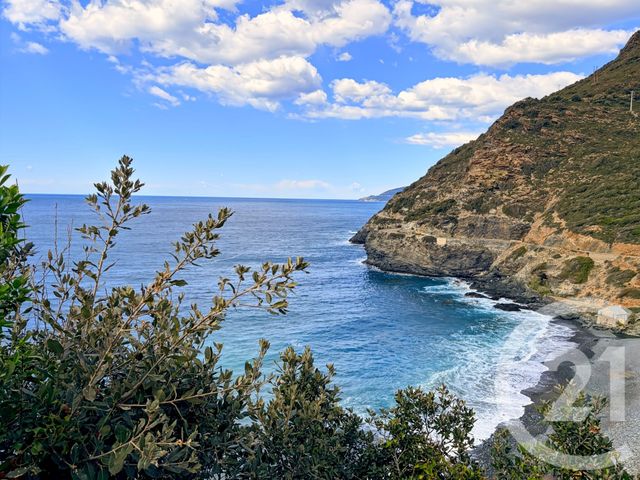 maison à vendre - 7 pièces - 173.5 m2 - OLMETA DI CAPOCORSO - 202 - CORSE - Century 21 Dary Immobilier