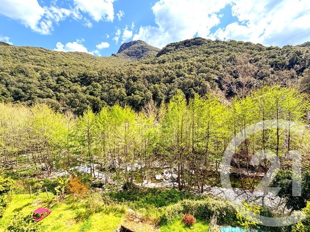 maison à vendre - 7 pièces - 173.5 m2 - OLMETA DI CAPOCORSO - 202 - CORSE - Century 21 Dary Immobilier