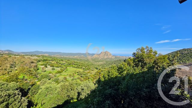 Appartement à vendre - 3 pièces - 24.58 m2 - SANTO PIETRO DI TENDA - 202 - CORSE - Century 21 Dary Immobilier