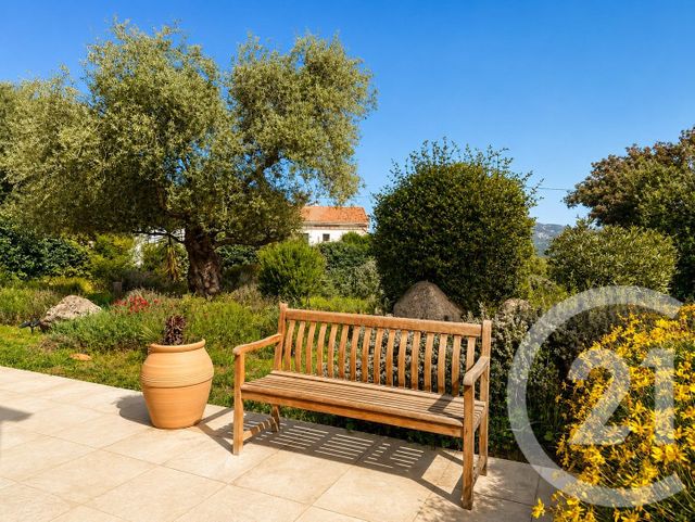 maison à vendre - 7 pièces - 156.5 m2 - CALENZANA - 202 - CORSE - Century 21 Dary Immobilier
