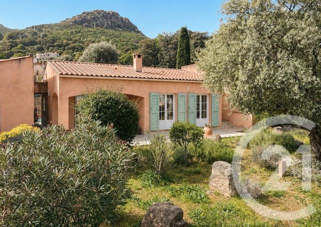 maison à vendre - 7 pièces - 156.5 m2 - CALENZANA - 202 - CORSE - Century 21 Dary Immobilier