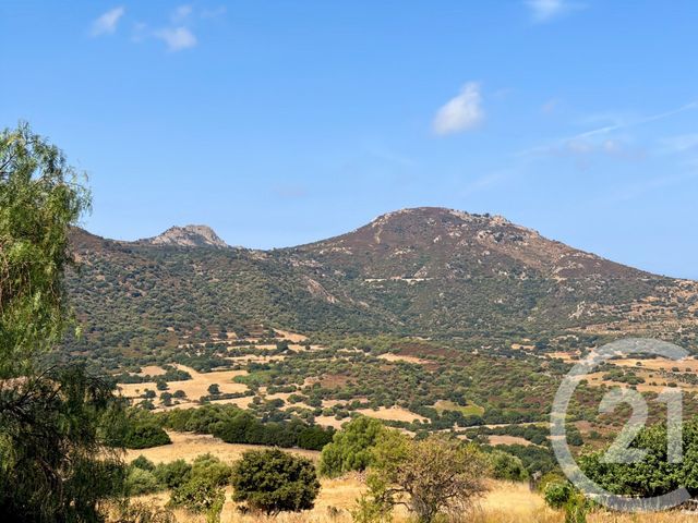 maison à vendre - 4 pièces - 93.31 m2 - AREGNO - 202 - CORSE - Century 21 Dary Immobilier