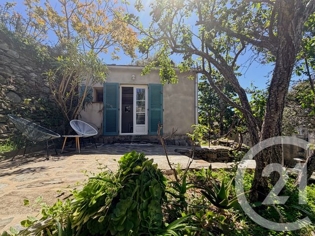 maison à vendre - 4 pièces - 63.17 m2 - CANARI - 202 - CORSE - Century 21 Dary Immobilier