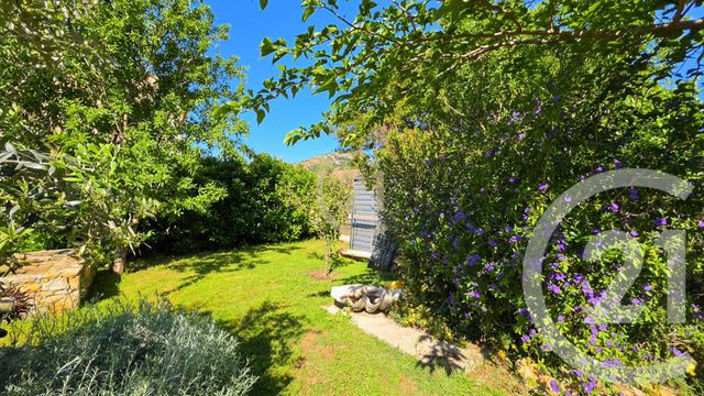 maison à vendre - 3 pièces - 68.0 m2 - PATRIMONIO - 202 - CORSE - Century 21 Dary Immobilier