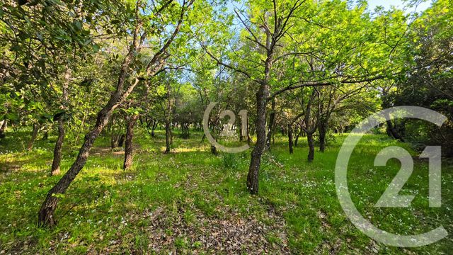 terrain - BARBAGGIO - 202