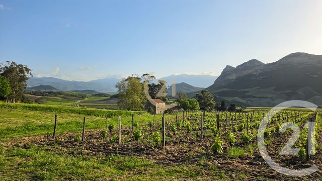 terrain à vendre - 476.0 m2 - BARBAGGIO - 202 - CORSE - Century 21 Dary Immobilier