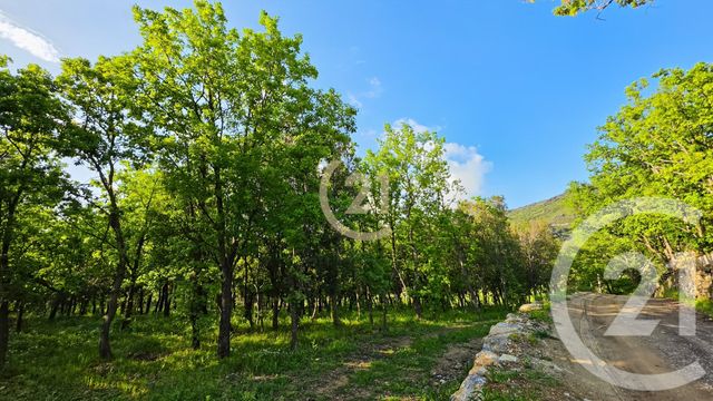 terrain - BARBAGGIO - 202