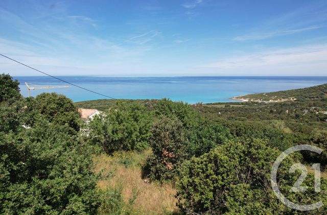 terrain à vendre - 3119.0 m2 - CORBARA - 202 - CORSE - Century 21 Dary Immobilier