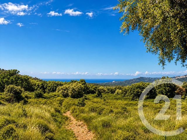 maison à vendre - 5 pièces - 107.23 m2 - CALENZANA - 202 - CORSE - Century 21 Dary Immobilier