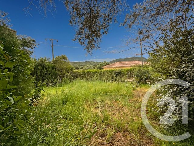 maison à vendre - 3 pièces - 40.08 m2 - OLETTA - 202 - CORSE - Century 21 Dary Immobilier