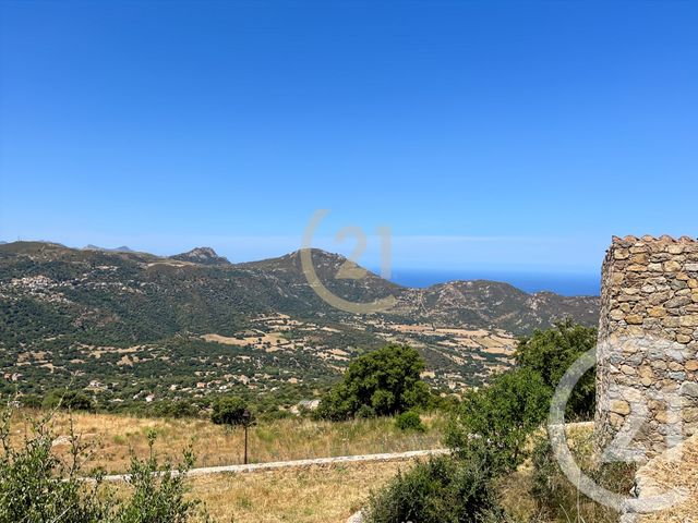 Appartement T2 à louer - 2 pièces - 25.35 m2 - SANT ANTONINO - 202 - CORSE - Century 21 Dary Immobilier