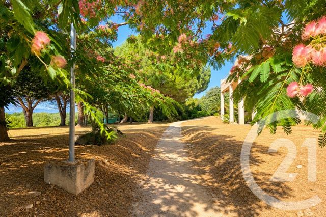 Appartement T2 à vendre - 2 pièces - 32.02 m2 - ST FLORENT - 202 - CORSE - Century 21 Dary Immobilier