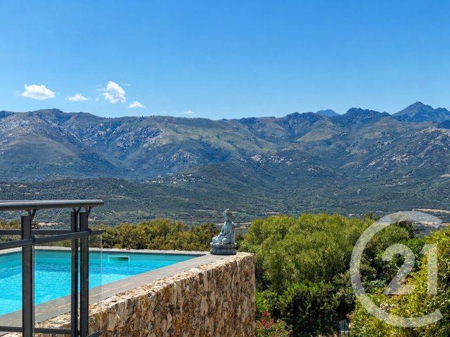 maison à vendre - 5 pièces - 198.0 m2 - MONTICELLO - 202 - CORSE - Century 21 Dary Immobilier