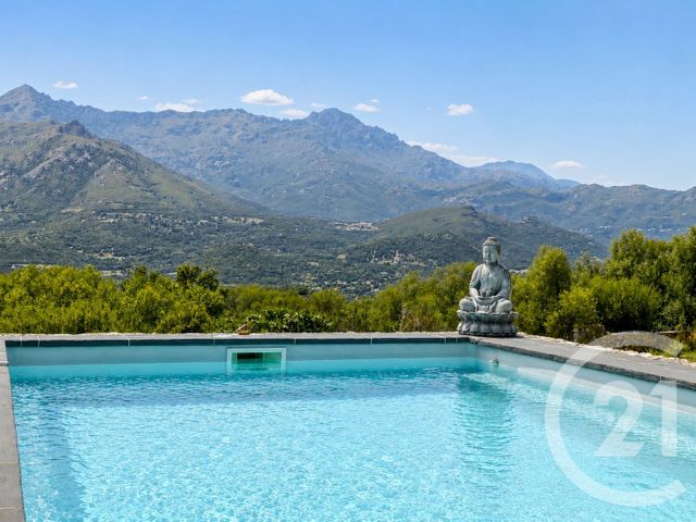 maison à vendre - 5 pièces - 198.0 m2 - MONTICELLO - 202 - CORSE - Century 21 Dary Immobilier
