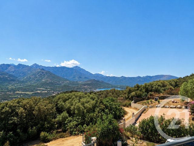 maison à vendre - 5 pièces - 198.0 m2 - MONTICELLO - 202 - CORSE - Century 21 Dary Immobilier