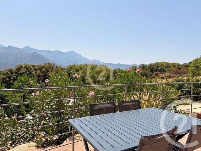 maison à vendre - 5 pièces - 198.0 m2 - MONTICELLO - 202 - CORSE - Century 21 Dary Immobilier