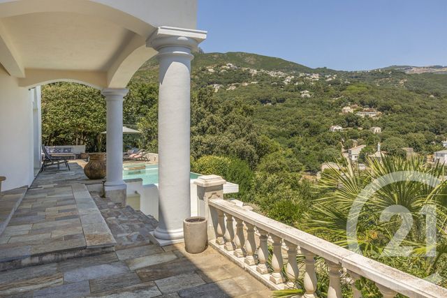 maison à vendre - 6 pièces - 228.0 m2 - BRANDO - 202 - CORSE - Century 21 Dary Immobilier