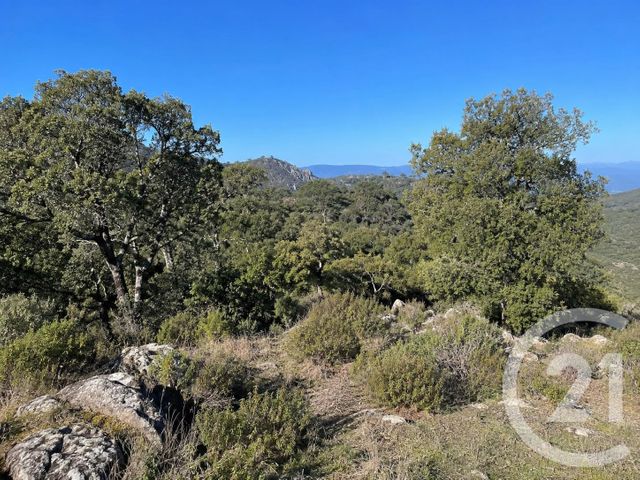 terrain - SCOLCA - 202