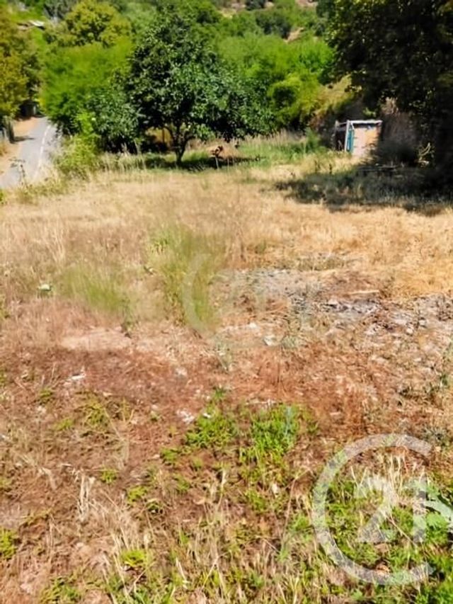 terrain à vendre - 560.0 m2 - SCOLCA - 202 - CORSE - Century 21 Dary Immobilier