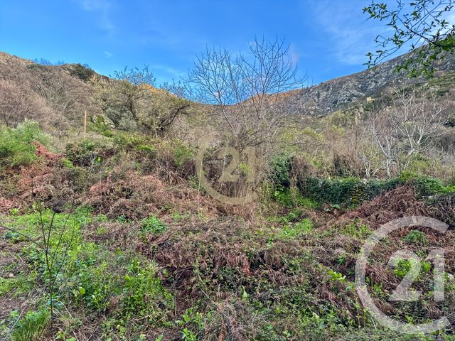 terrain à vendre - 407.0 m2 - VILLE DI PARASO - 202 - CORSE - Century 21 Dary Immobilier