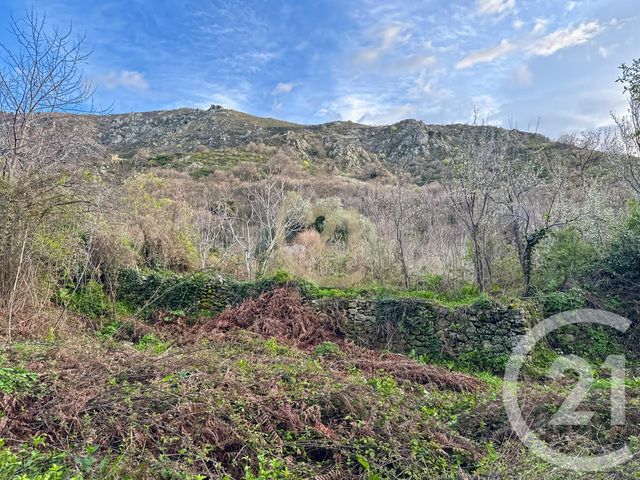 terrain à vendre - 407.0 m2 - VILLE DI PARASO - 202 - CORSE - Century 21 Dary Immobilier