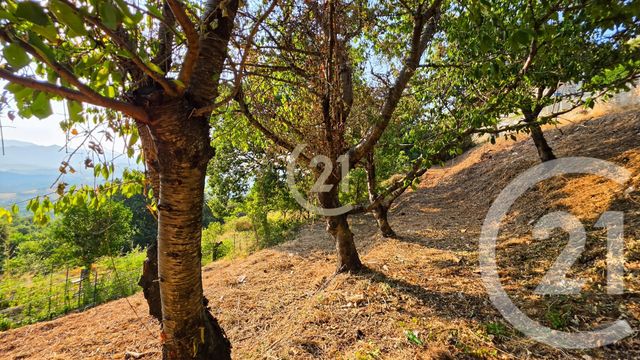 maison à vendre - 4 pièces - 290.0 m2 - OLETTA - 202 - CORSE - Century 21 Dary Immobilier