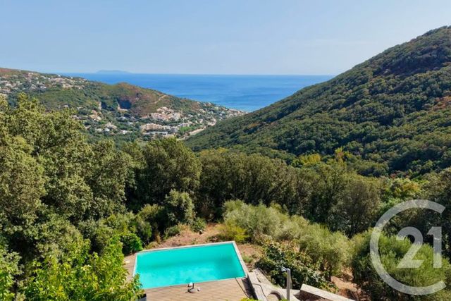 maison à vendre - 9 pièces - 262.24 m2 - SAN MARTINO DI LOTA - 202 - CORSE - Century 21 Dary Immobilier