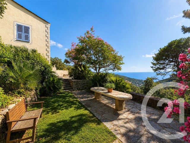 maison à vendre - 9 pièces - 262.24 m2 - SAN MARTINO DI LOTA - 202 - CORSE - Century 21 Dary Immobilier