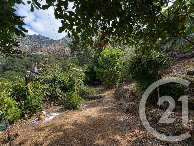 maison à vendre - 4 pièces - 100.48 m2 - NESSA - 202 - CORSE - Century 21 Dary Immobilier