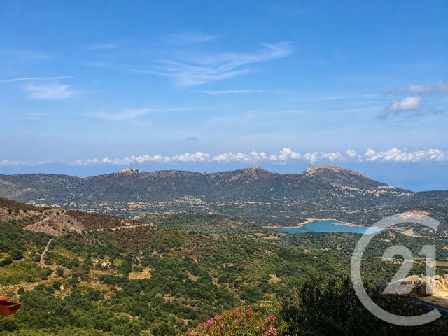 maison à vendre - 4 pièces - 90.53 m2 - SPELONCATO - 202 - CORSE - Century 21 Dary Immobilier