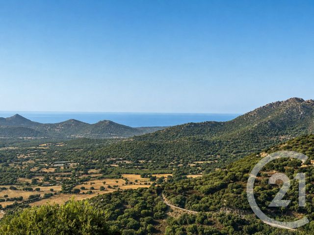 maison à vendre - 12 pièces - 800.0 m2 - BELGODERE - 202 - CORSE - Century 21 Dary Immobilier