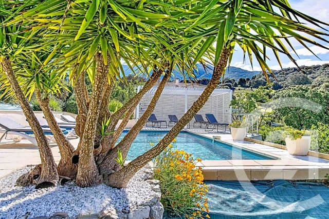 maison à vendre - 9 pièces - 216.47 m2 - PIETRALBA - 202 - CORSE - Century 21 Dary Immobilier