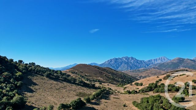 maison à vendre - 9 pièces - 216.47 m2 - PIETRALBA - 202 - CORSE - Century 21 Dary Immobilier