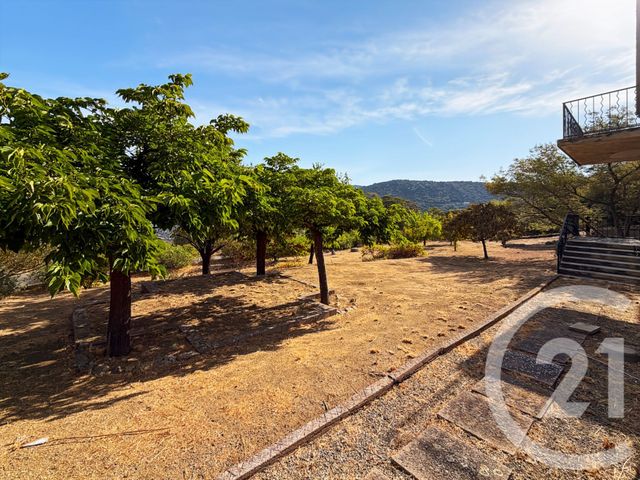 maison à vendre - 5 pièces - 136.42 m2 - SANTA REPARATA DI BALAGNA - 202 - CORSE - Century 21 Dary Immobilier