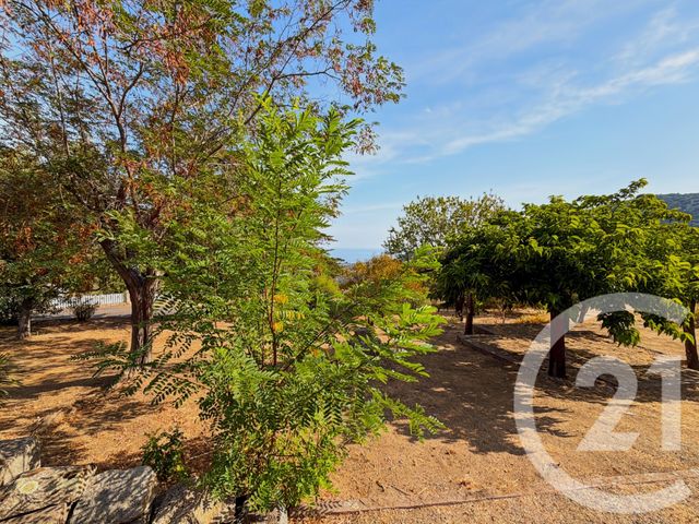 maison à vendre - 5 pièces - 136.42 m2 - SANTA REPARATA DI BALAGNA - 202 - CORSE - Century 21 Dary Immobilier