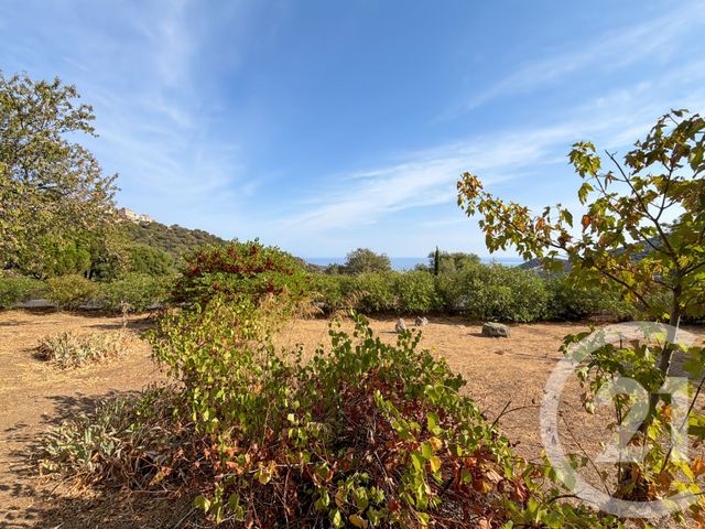 maison à vendre - 5 pièces - 136.42 m2 - SANTA REPARATA DI BALAGNA - 202 - CORSE - Century 21 Dary Immobilier