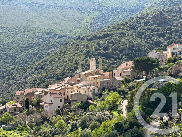 maison à louer - 2 pièces - 52.43 m2 - PALASCA - 202 - CORSE - Century 21 Dary Immobilier