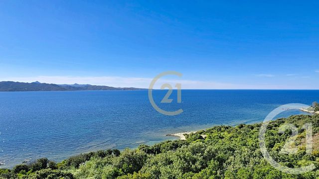 Appartement à vendre - 4 pièces - 67.65 m2 - PATRIMONIO - 202 - CORSE - Century 21 Dary Immobilier