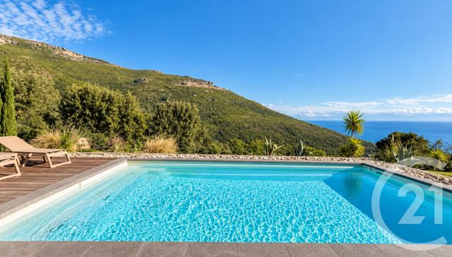 maison à vendre - 4 pièces - 170.0 m2 - BRANDO - 202 - CORSE - Century 21 Dary Immobilier