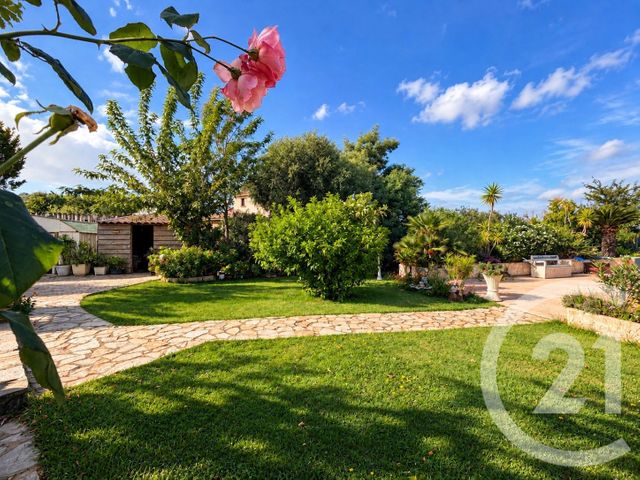maison à vendre - 8 pièces - 200.62 m2 - CALENZANA - 202 - CORSE - Century 21 Dary Immobilier