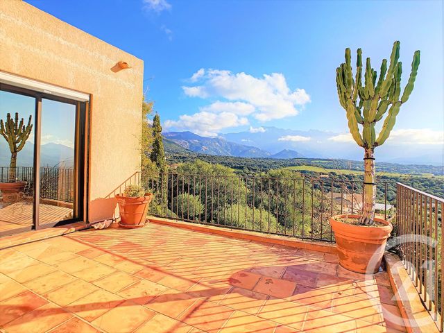 Afficher la photo en grand maison à vendre - 5 pièces - 130.48 m2 - LUMIO - 20 - CORSE - Century 21 Dary Immobilier