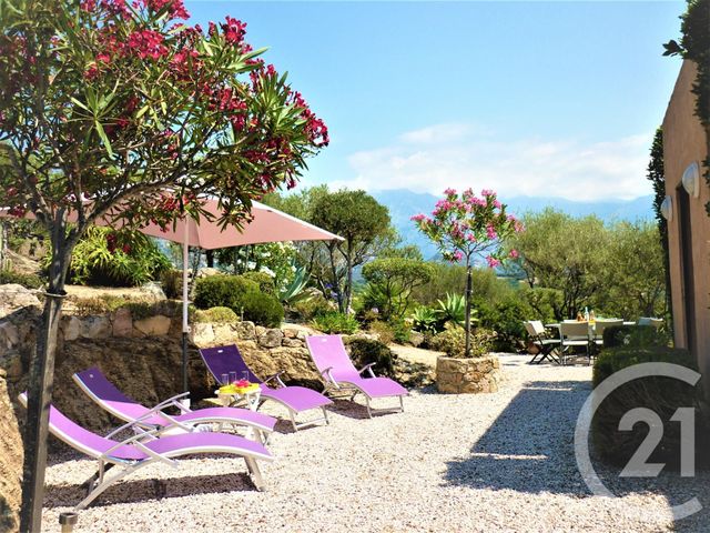 Afficher la photo en grand maison à vendre - 5 pièces - 130.48 m2 - LUMIO - 20 - CORSE - Century 21 Dary Immobilier